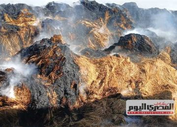 حريق هائل يلتهم شونة لتجميع قش الأرز بكفر الشيخ والحماية المدنية تحاول السيطرة