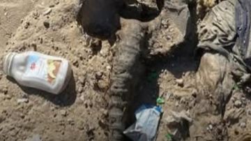 غزة.. العثور على جثـ.ـث متحللة في مناطق انسحب منها الجيش الإسرائيلي