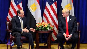 قمة شرم الشيخ المرتقبة.. نواب وأحزاب: مصر تثبت ريادتها في دعم السلام الإقليمي