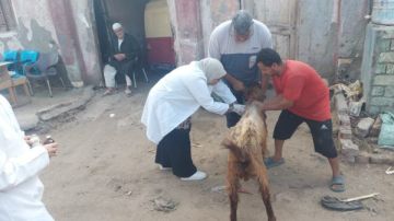 خدمات متكاملة لأهالي القرية أم عزام بمركز القصاصين من جامعة قناة السويس