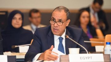 وزير الخارجية: الترويج للمنتجات الدوائية المصرية عبر البعثات الدبلوماسية