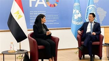 وزيرة التخطيط تبحث مع الفاو تعزيز العلاقات المشتركة في مجال الأمن الغذائي