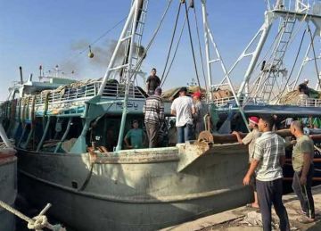 3 منافذ لطرح الأسماك بأسعار مخفضة بالسويس 3 منافذ لطرح الأسماك بأسعار مخفضة بالسويس