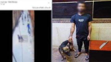 حبس المتهم بواقعة كلب الجيزة 4 أيام بتهمة ترويع المواطنين حبس المتهم بواقعة كلب الجيزة 4 أيام بتهمة ترويع المواطنين