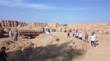 البحيرة: جمع 343 طنا من قش الأرز وفحص 2034 عادم سيارة البحيرة: جمع 343 طنا من قش الأرز وفحص 2034 عادم سيارة