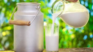 حليب بلا أبقار.. الزراعة الخلوية ثورة فى صناعة الألبان