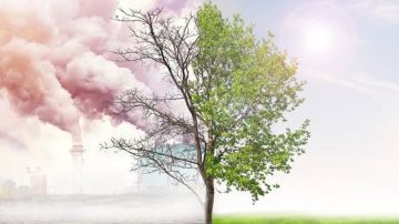 قبل انطلاق COP30 بالبرازيل.. تحقيق الاستعادة البيئية في أفريقيا