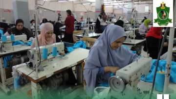 محافظ المنيا: تمويل 843 مشروعا من صندوق التنمية المحلية بإجمالي 12 مليون جنيه محافظ المنيا: تمويل 843 مشروعا من صندوق التنمية المحلية بإجمالي 12 مليون جنيه