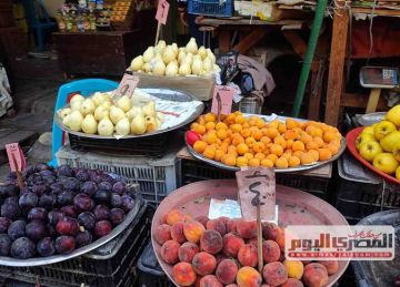 الجوافة بـ25 جنيها.. أسعار الفاكهة في أسواق الإسكندرية اليوم الأحد 19 أكتوبر 2025