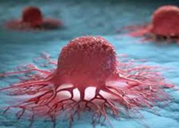 علماء يحذرون: مشروب شائع يعتبر وقودا خفيا لسرطان الدم (تعرف علي التفاصيل) علماء يحذرون: مشروب شائع يعتبر وقودا خفيا لسرطان الدم (تعرف علي التفاصيل)