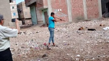 دمياط تواجه ظاهرة الكلاب الضالة ومكافحة مرض السعار