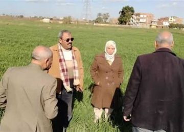 زراعة المنيا تنهي استعداداتها لزراعة 217 ألف فدان قمح داخل 9 مراكز  زراعة المنيا تنهي استعداداتها لزراعة 217 ألف فدان قمح داخل 9 مراكز