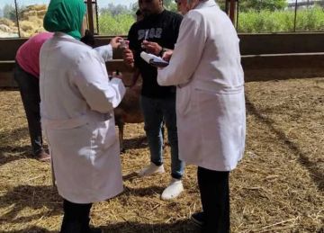 للحفاظ على الثروة الحيوانية.. فحص 6180 رأس ماشية ضد البروسيلا والسل البقري في الشرقية للحفاظ على الثروة الحيوانية.. فحص 6180 رأس ماشية ضد البروسيلا والسل البقري في الشرقية