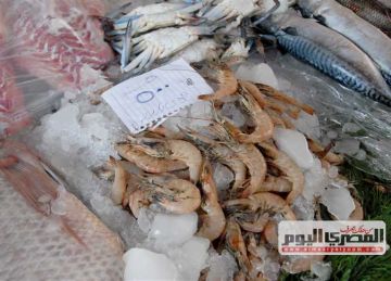  الجمبرى الجامبو بكام النهارده؟ .. أسعار السمك والمأكولات البحرية بأسواق الإسكندرية اليوم الأحد 12 أكتوبر 2025