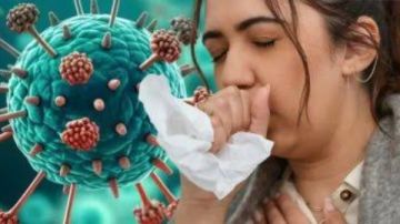 كل ما تريد معرفته حول فيروس ميتانيمو تفاصيل كل ما تريد معرفته حول فيروس ميتانيمو تفاصيل