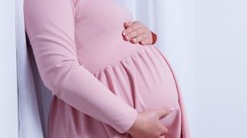 من القمح إلى الأرنب.. رحلة اكتشاف الحمل عبر العصور من القمح إلى الأرنب.. رحلة اكتشاف الحمل عبر العصور