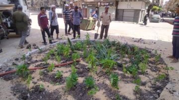 وزيرة التنمية المحلية: مبادرة 100 مليون شجرة لمواجهة التغيرات المناخية وزيرة التنمية المحلية: مبادرة 100 مليون شجرة لمواجهة التغيرات المناخية