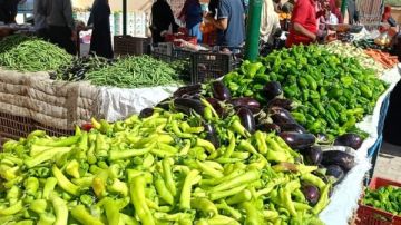 أسعار السلع الغذائية والخضر والفاكهة بأسواق الوادي الجديد اليوم