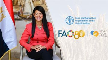 المشاط تشارك في المنتدى العالمي للأغذية بروما احتفالا بمرور 80 عاما على تأسيس فاو 