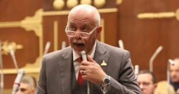 حازم الجندي: الرئيس يعيد تعريف إفريقيا كقوة فاعلة في تشكيل النظام العالمي الجديد