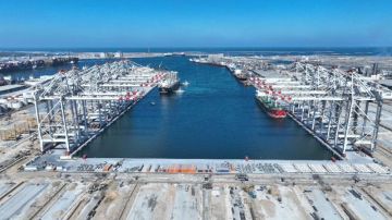 صرح لوجيستي بتكنولوجيا متقدمة.. أحدث تصوير لمحطة الحاويات تحيا مصر 1 بميناء دمياط (صور)