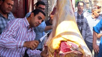 ضبط 197 كيلو لحوم وأسماك غير صالحة للاستهلاك الآدمي في سوهاج