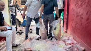 الزراعة: ضبط أكثر من 270 طن لحوم فاسدة وتحرير 981 محضرا خلال سبتمبر