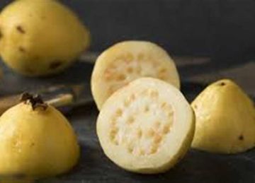 السر في عصرة ليمون .. طريقة تخزين الجوافة لأطول فتره من غير إسمرار  السر في عصرة ليمون .. طريقة تخزين الجوافة لأطول فتره من غير إسمرار