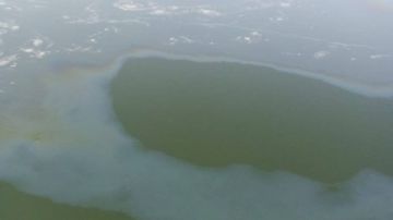 توقف محطة مياه الطود بالأقصر بعد ظهور مواد بترولية في مجرى النيل توقف محطة مياه الطود بالأقصر بعد ظهور مواد بترولية في مجرى النيل