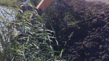 إزالة 5 مزارع سمكية مخالفة على أراضي الدولة بمساحة 100 فدان بمنطقة الشلاتيات جنوب بورسعيد إزالة 5 مزارع سمكية مخالفة على أراضي الدولة بمساحة 100 فدان بمنطقة الشلاتيات جنوب بورسعيد