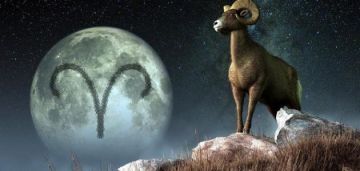 برج الجدي حظك اليوم الخميس 2 أكتوبر.. خفف عنك الضغط برج الجدي حظك اليوم الخميس 2 أكتوبر.. خفف عنك الضغط