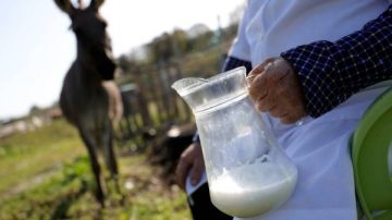 ضبط المتهمين بذ.بح حمير وإلقاءها بأراض زراعية بالسنطة والنيابة تحقق