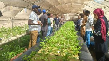 التعليم العالي: وفد إفريقي يزور المزارع السمكية بالقناطر الخيرية