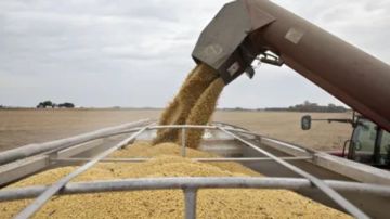 الصين تتعهد بشراء كميات كبيرة من فول الصويا الأمريكي الصين تتعهد بشراء كميات كبيرة من فول الصويا الأمريكي