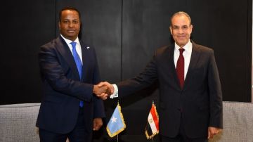 وزير الخارجية: مصر ملتزمة بدعم جهود تعزيز أمن واستقرار الصومال وزير الخارجية: مصر ملتزمة بدعم جهود تعزيز أمن واستقرار الصومال