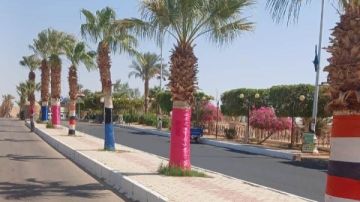 أخبار أسوان.. افتتاح منتدى السلام والتنمية.. وأبو سمبل تتزين لتعامد الشمس