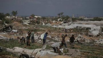 تقرير أممي: تضرر نحو 87 من الأراضي الزراعية في غزة تقرير أممي: تضرر نحو 87 من الأراضي الزراعية في غزة