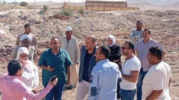 قنا تضع حدا لفوضى الكلاب الضالة.. مشروع المأوى يدخل حيز التنفيذ قريبا