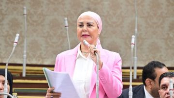 أمل سلامة: دخول المساعدات لغزة انتصار لدبلوماسية مصر وحكمة الرئيس السيسي