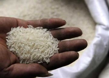 طن الشعير الآن.. سعر الأرز اليوم الاثنين 27 أكتوبر 2025 في الأسواق طن الشعير الآن.. سعر الأرز اليوم الاثنين 27 أكتوبر 2025 في الأسواق