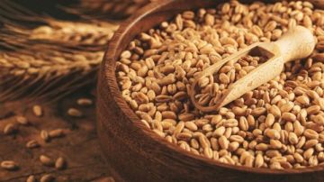 مصر تشتري القمح من كازاخستان لأول مرة منذ 15 عاما