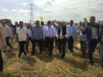 وزير الزراعة: مصر تضع خبراتها في خدمة إفريقيا لتحقيق الاكتفاء الذاتي من الأرز