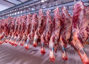 أسعار اللحوم بشمال سيناء اليوم الجمعة 10 أكتوبر 2025