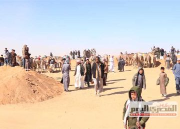 استعدادات على قدم وساق لانطلاق النسخة الـ25 لمهرجان الإسماعيلية الدولي للفنون الشعبية استعدادات على قدم وساق لانطلاق النسخة الـ25 لمهرجان الإسماعيلية الدولي للفنون الشعبية