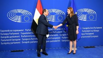 رئيسة البرلمان الأوروبي للرئيس السيسي: جهودك أنهت حرب غزة.. وندعم الشراكة وتوفير فرص عمل للمصريين رئيسة البرلمان الأوروبي للرئيس السيسي: جهودك أنهت حرب غزة.. وندعم الشراكة وتوفير فرص عمل للمصريين
