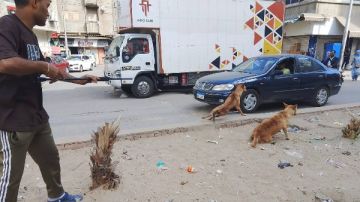 دمياط تطلق خطة الدولة مصر خالية من السعار 2030