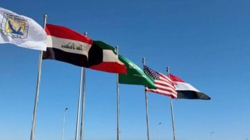 أستاذ علوم سياسية: قمة شرم الشيخ لحظة تاريخية أكدت عظمة الدولة المصرية وريادتها الإقليمية