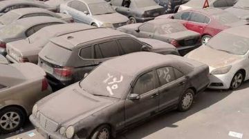 تفاصيل جلسة مزاد 30 أكتوبر لبيع سيارات وبضائع جمارك المحافظات 