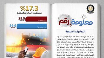 مجلس الوزراء: ارتفاع الصادرات غير السلعية .. انفوجراف