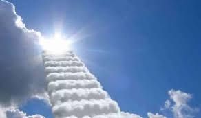 هل كل من اسمه محمد لا يدخل النار؟.. الإفتاء: الحديث صحيح